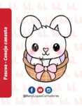 Cortador de galletas – Conejo canasta – Portada